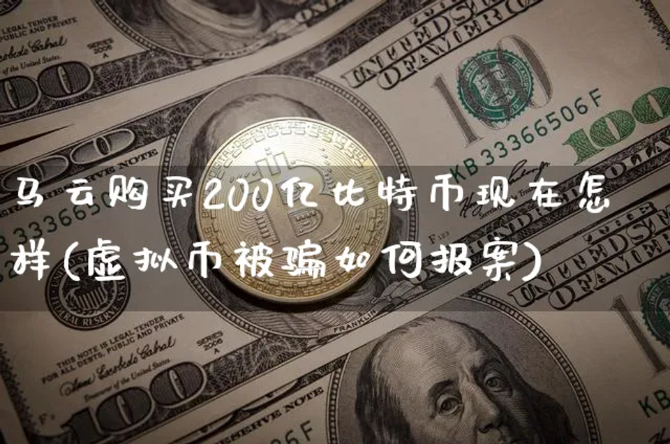 马云购买200亿比特币现在怎样(虚拟币被如何)插图